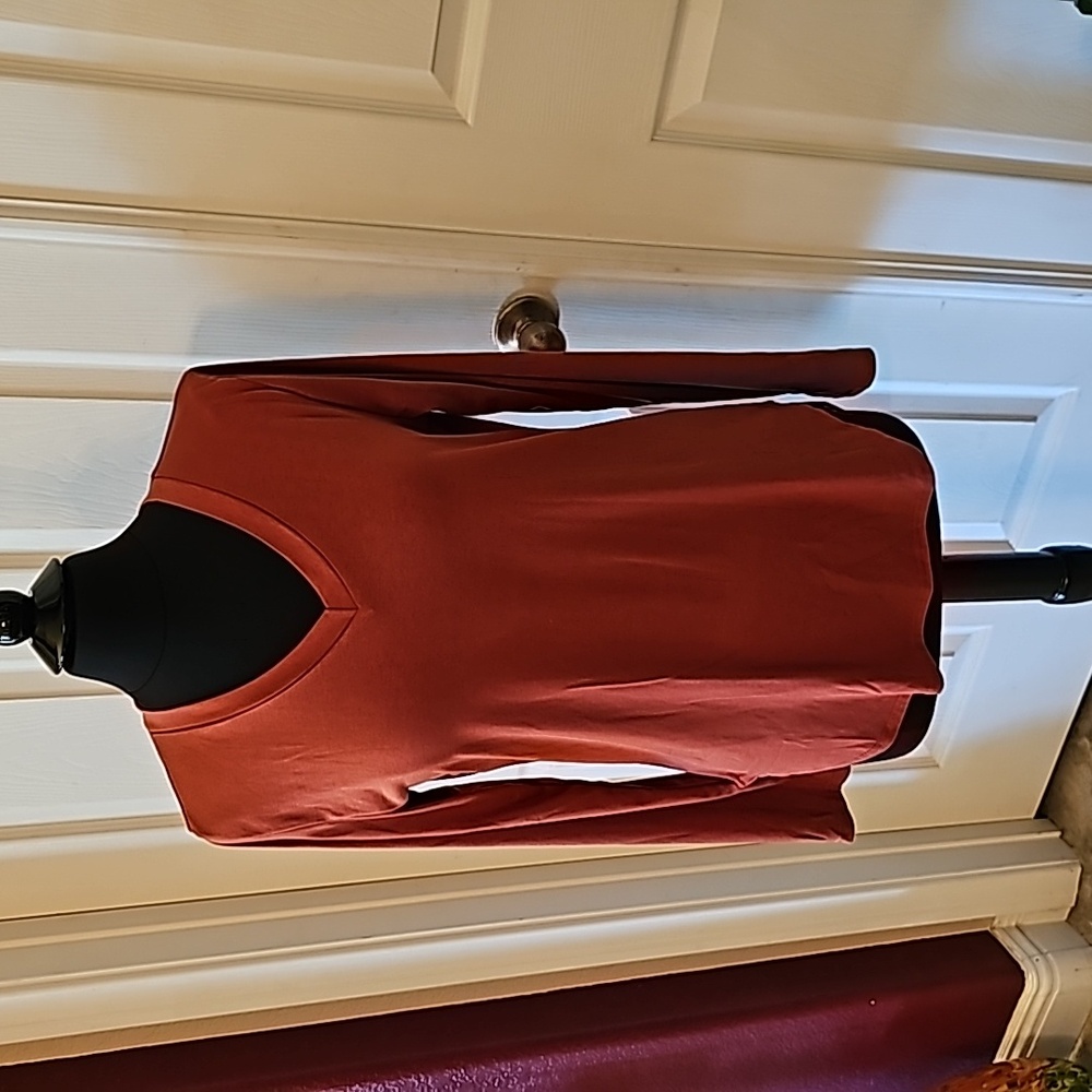 Burnt orange/rust color V neck, long sleeve top.